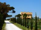 Vila PODERE TRE TERMINI - Agriturismo Toscana vily - TOSCANA